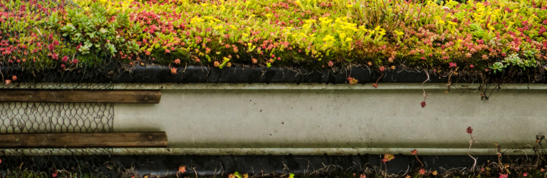 Een sedumdak op EPDM? Zo pak je dat aan!